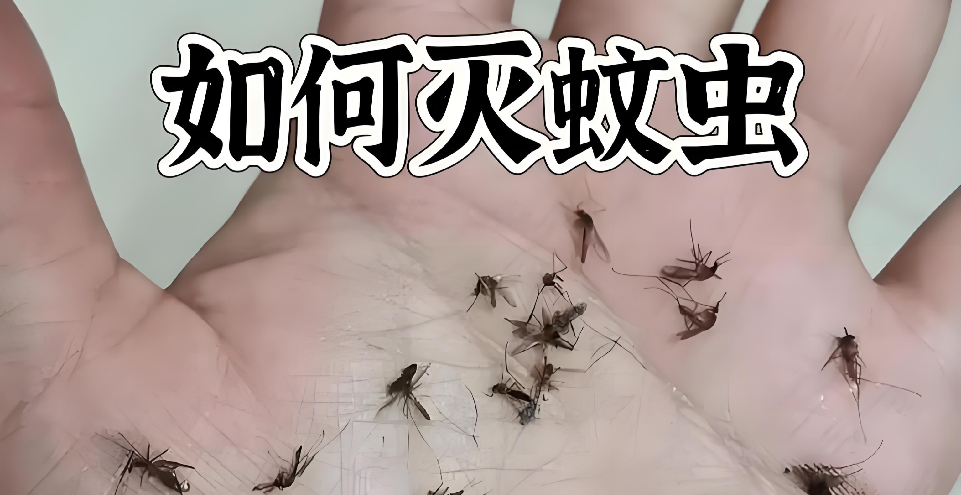 基孔肯雅热、登革热媒介伊蚊消杀控制方法