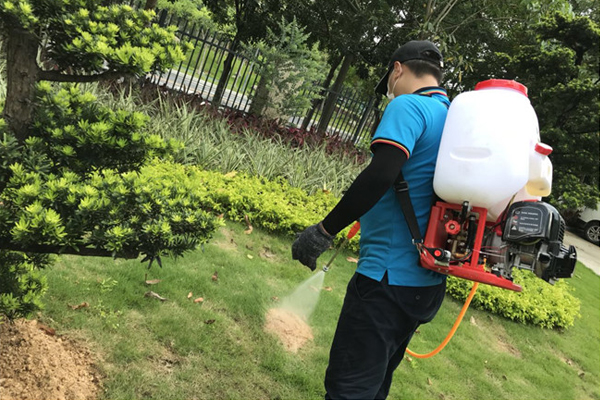 莱州为民服务中心