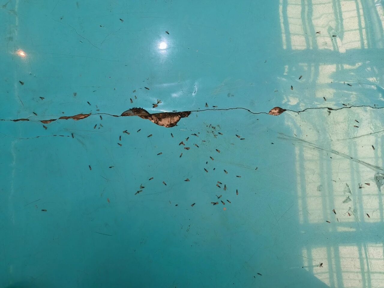 mmexport1771384920179